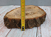 Сляб дерев'яний для творчості та рукоділля (не оброблений) 250х190мм., фото 2