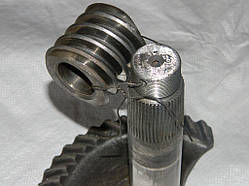 125.40.083 Черв'як і сектор