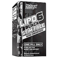 Lipo-6 Black Ultra Concentrate Stim-Free 60 caps
