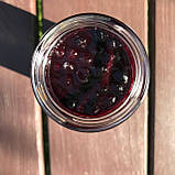 Галицькі мармуляди з зелених шишок, чорниці, брусниці, бузини 4х180 мл – набір варення №9, фото 3