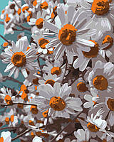 Прекрасные ромашки. Цветы 40*50 Картина по номерам Оригами LW 3178