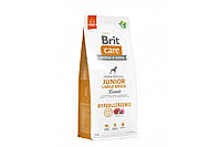 Сухой корм Brit Care (Брит Кеа) Junior Large Breed Lamb & Rice для юниоров и молодых собак крупных пород 12 кг