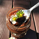 Галицькі мармуляди з ожини, малини, суниці, полуниці 4х180 мл – набір варення №10, фото 8