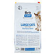 Brit Care Large Cats Duck & Chicken | Беззерновий сухий корм для великих порід з уткою та куркою, 7 КГ, фото 3