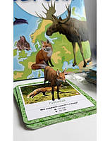 Ігровий набір 4D Розвиваюча гра «Світ тварин Європи» з доповненою реальнiстю звук, пазл карта, книга, тварини, ARкартки, FastAR, фото 2