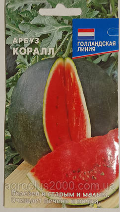 Насіння Кавун Корал 1 грам, фото 1