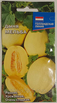 Насіння Диня Мельба 0,5 грама, фото 1