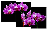 Модульная картина Декор Карпаты 100х53 см Сиреневые орхидеи (M3-t40)