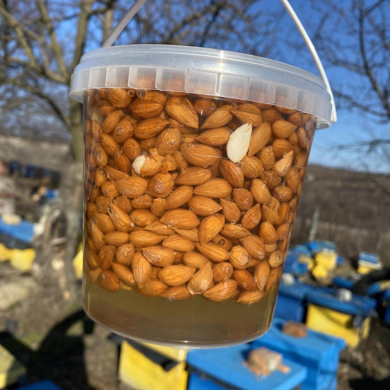 Ядра кісточки абрикоса у меду акації 1 л (1200 грам)