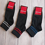 Шкарпетки Житомир тенісні середня висота чорні с кольоровою полоскою 37-39р | 12 пар, фото 3