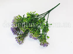 Букет калинки дрібної (6 гілок) ,  Фіолетовий