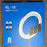 Професійна кільцева лампа RL-18 45 см 55 Ват, пульт, USB, 3х тримача для телефону Soft Ring Light, фото 2
