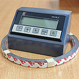 Блок цифрової індикації розміру для форматно-розкрійного верстата, з магнітною стрічкою, фото 9