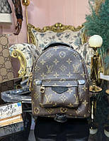 Louis Vuitton Palm Springs mini рюкзак монограм 7777