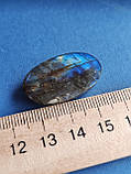 Лабрадор овал камінь без оправи. Кабошон натуральний лабрадор 29*17,5*7 мм. . Індія., фото 8