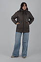 Жіноча весняна куртка моко Aziks м-203 розміри 44-58, фото 4