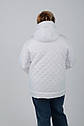Якісна стьобана жіноча куртка Aziks м-220 Розміри 48 -58, фото 4