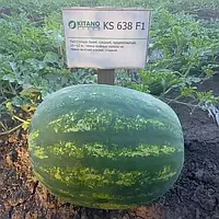 Семена Арбуз НАЙСИ (КС 638) F1 / NAYSI (KS 638) F1 100 семян Kitano Seeds