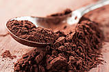 Какао-порошок знежирений, 1%, бездоПовий, 250 г, фото 3