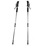 Трекінгові палиці