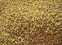 Семена травы горчица желтая сидерат б/с 10 кг