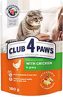 Полнорационный консервированный корм для кошек CLUB 4 PAWS (Клуб 4 Лапы) Премиум с курицей в соусе, 100 г
