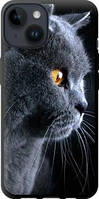 Чехол на iPhone 14 Красивый кот "3038b-2648-63605"