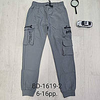 Спортивні штани плащівка для хлопчиків, F&D, 6-14 років, No BD-1619-2