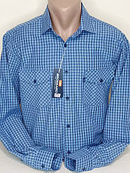 Чоловічі сорочки бавовна 100% Brossard vd-0053 класична блакитна клітина, чоловічі сорочки стильні натуральні 46