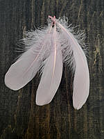 Перья гуся декоративные 14-18 см разных цветов Светло-розовый
