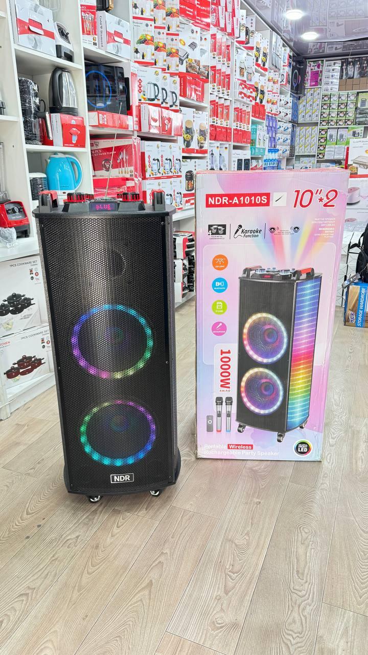 Портативна мошна Bluetooth-Коронка NDR-1010S динаміки 2x10 Караоке та 2 радіомікрофони