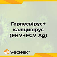 Експрес-тест на наявність антигенів герпесвірусу та каліцівірусу котів (FHV+FCV Ag), комбінований, VIFHC-525