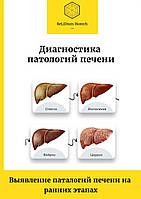 Книга Диагностика патологий печени. Выявление патологий печени на ранних этапах. 18 Стр. цветные.