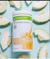 Протеїновий коктейль Формула-1 з смаком Диня