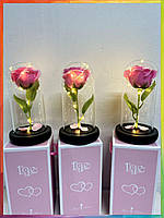 Роза в колбе под стеклянным куполом стабилизированный цветок Pink с подсветкой Большая