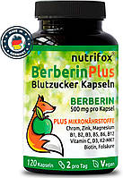 Берберин (цинк, хром, магній, B12, B6, фолієва кислота) 500 мг  Nutrifox - 120 капсул