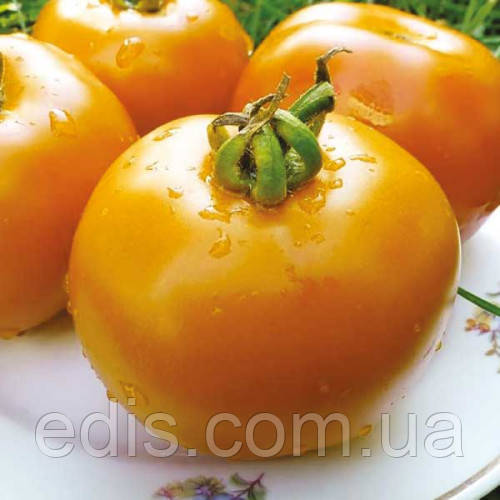 Томат Апельсин (крупний, індетермінантний, середньоранній) 0,1 г, насіння Яскрава