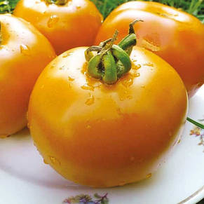 Томат Апельсин (крупний, індетермінантний, середньоранній) 0,1 г, насіння Яскрава, фото 1