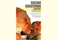 Телесная психотерапия. Бодинамика. 2010. В.Б. Березкина-Орлова. 414 стор