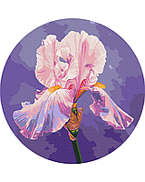 Картина по номерам круглая "Розовый Ирис © Anna Steshenko" 30 3v1 Рисование Живопись Раскраски (30 см)