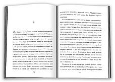Книга «Амстердам (УКР». Автор - Ієн Мак'юен, фото 5