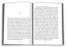 Книга «Амстердам (УКР». Автор - Ієн Мак'юен, фото 6