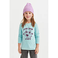 Детская кофта реглан лонгслив Сова H&M для девочки 8-10 лет - р.134/140 /70045/