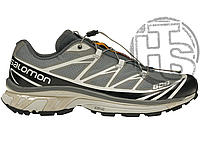 Мужские кроссовки Salomon XT-6 Softground Advanced Grey ALL14738