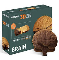 Картонный конструктор «Cartonic 3D Puzzle BRAIN»