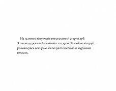 Книга «Три бажання». Автор - Аксель Шеффлер, фото 3