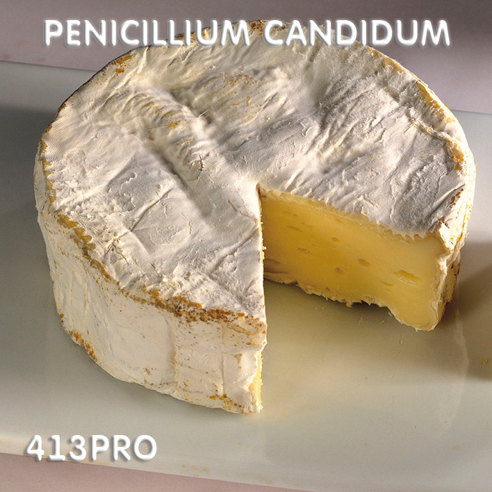 Закваска Penicillium Candidum ЧИЗПРО 100 (10 шт. Х 10 л) для сиру з білою цвіллю