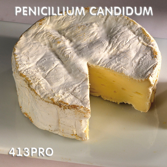 Закваска Penicillium Candidum ЧИЗПРО 100 (10 шт. Х 10 л) для сиру з білою цвіллю, фото 1