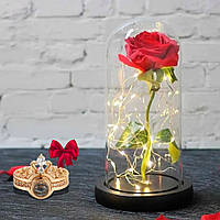 Роза в колбе 20 см с LED подсветкой Красная + Подарок Кольцо I love you / Ночник роза в стеклянной колбе