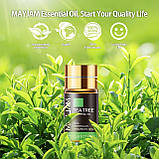 Подарунковий набір Аромадіфузор та Ефірні Масла 28 шт Premium Essential Oils MAYJAM, фото 9